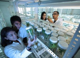 Bengaluru emerges as India's biotech startup capital Study